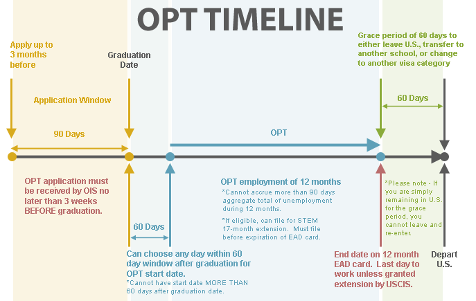 opt申请 timeline